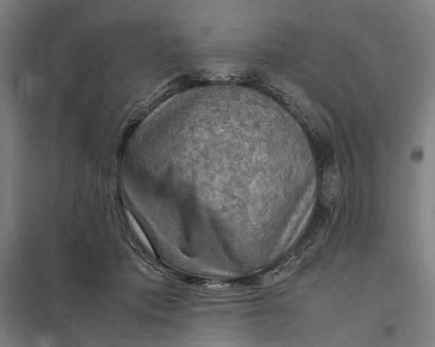 X0000097920413200803281430