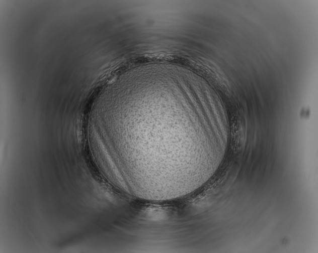 X0000097920416200803281430