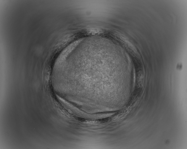 X0000097920417200803281430