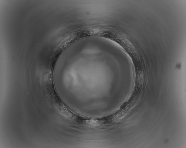 X0000097920419200803281430