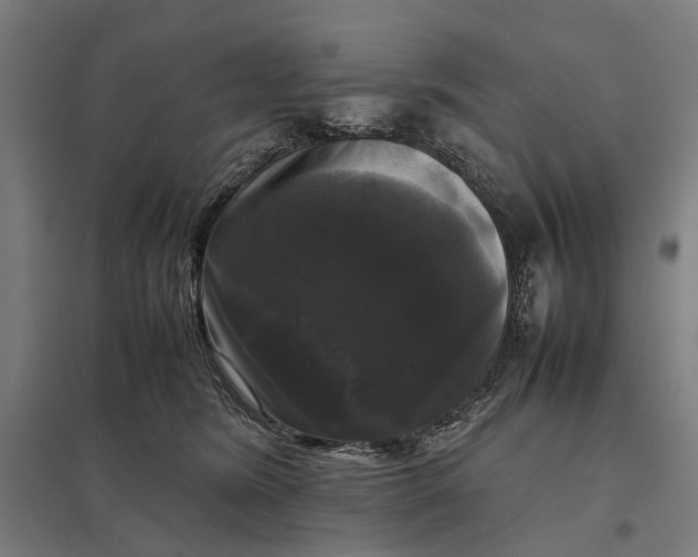 X0000097920420200803281430