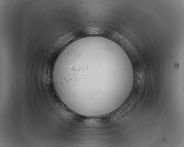 X0000097920422200803281430