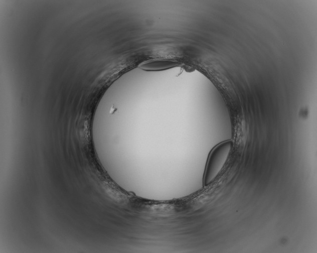 X0000097920426200803281430