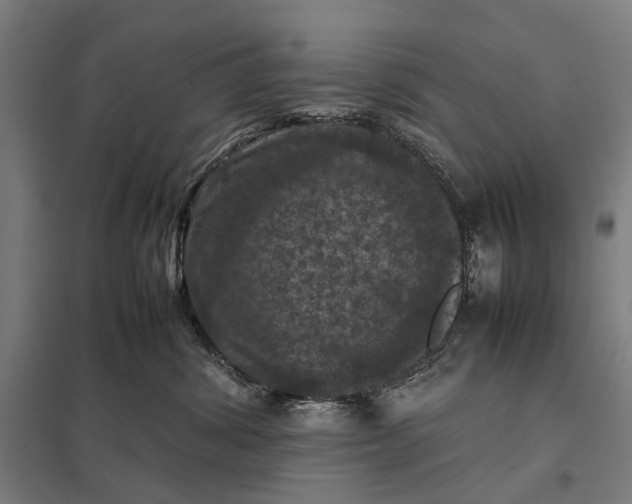 X0000097920428200803281430