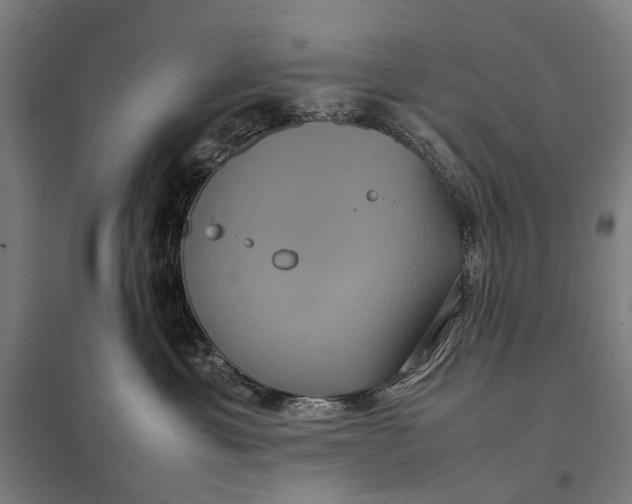 X0000097920429200803281430