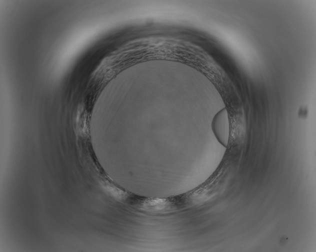 X0000097920431200803281430