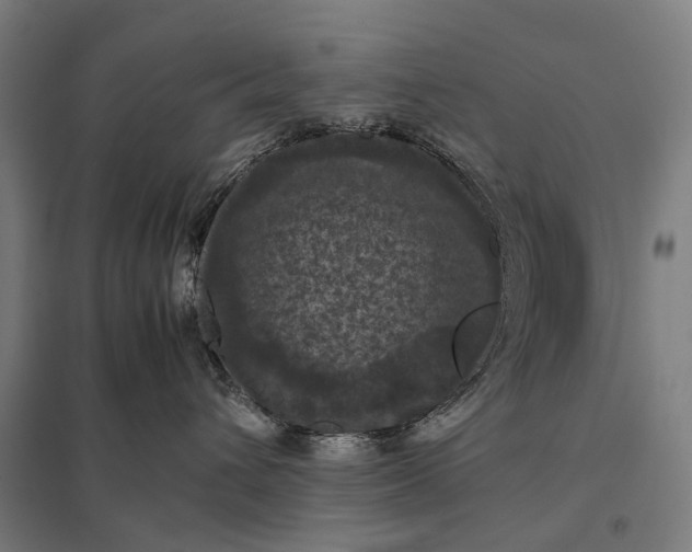 X0000097920432200803281430