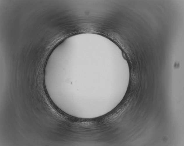 X0000097920433200803281429