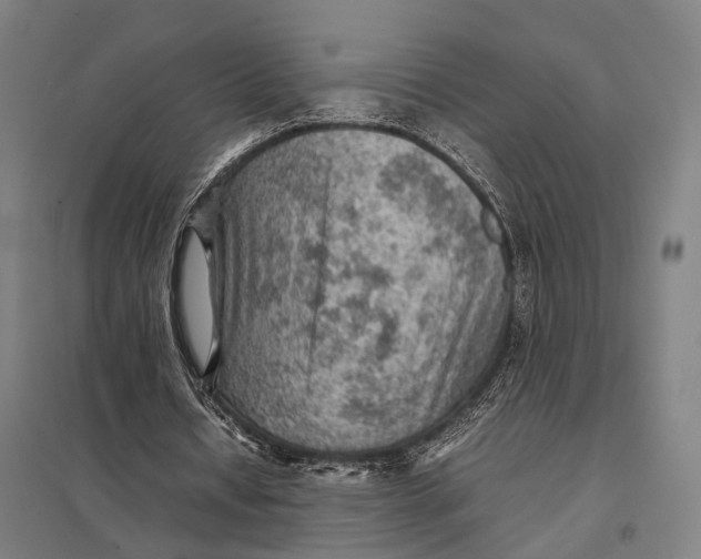 X0000097920434200803281429