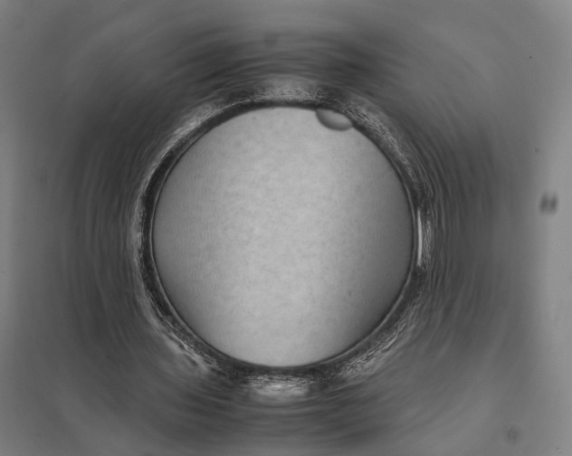 X0000097920435200803281429