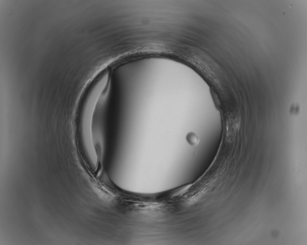 X0000097920436200803281429