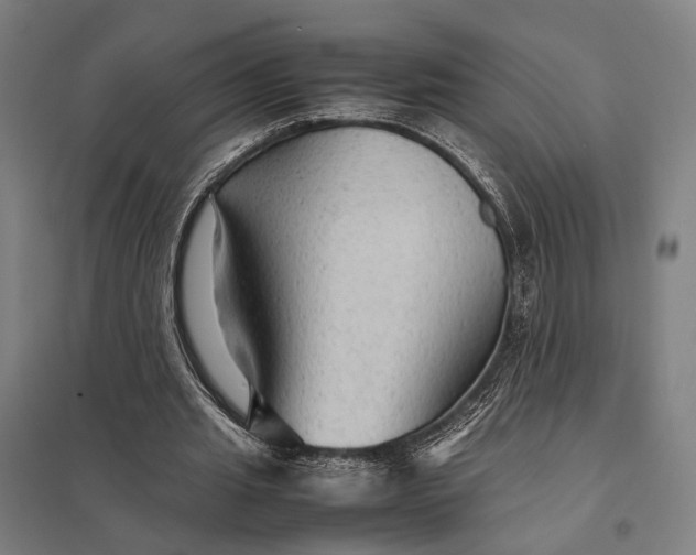 X0000097920437200803281429