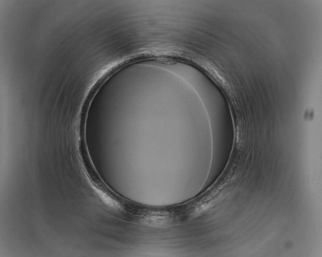 X0000097920438200803281430