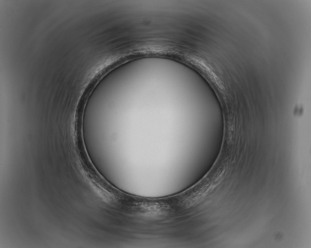 X0000097920439200803281430