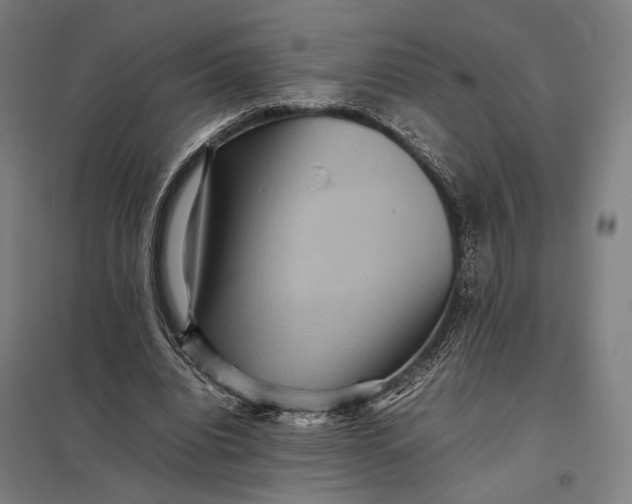 X0000097920440200803281430