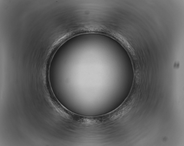 X0000097920442200803281430