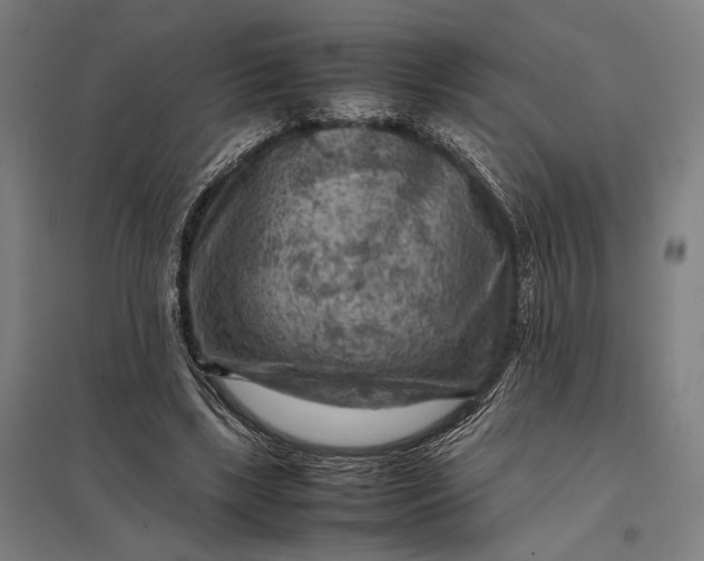 X0000097920443200803281430