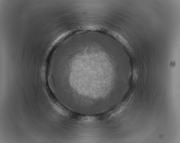 X0000097920444200803281430