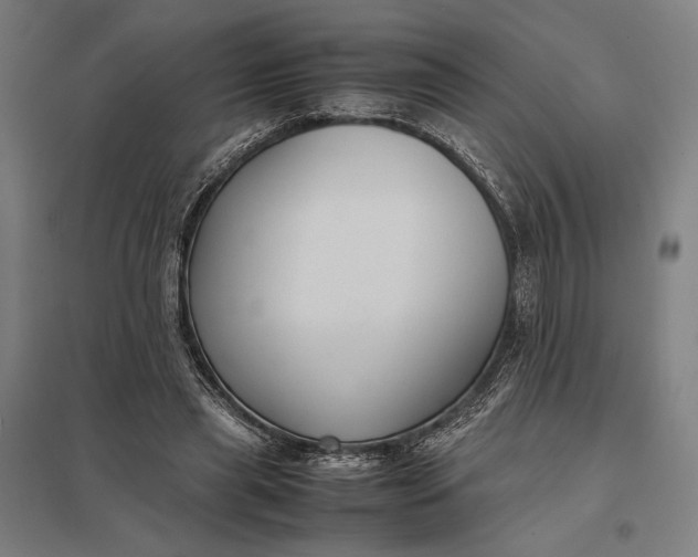 X0000097920445200803281430