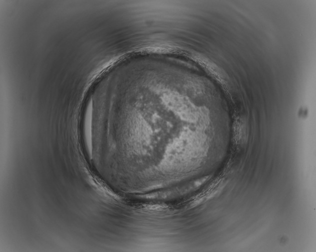 X0000097920446200803281430