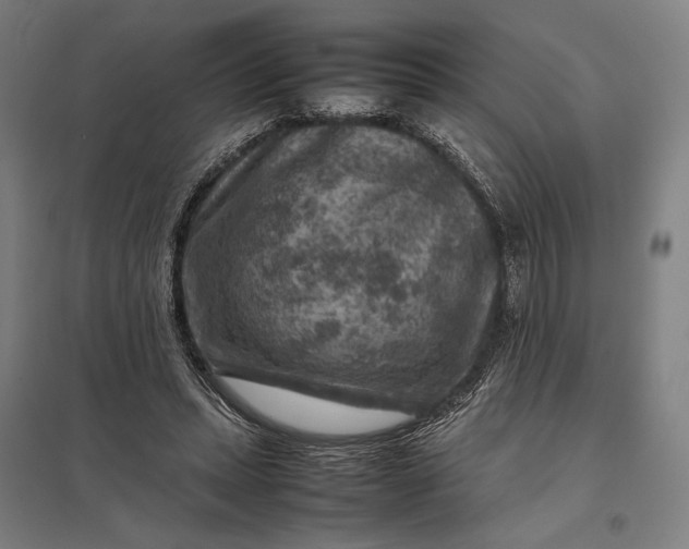 X0000097920447200803281430