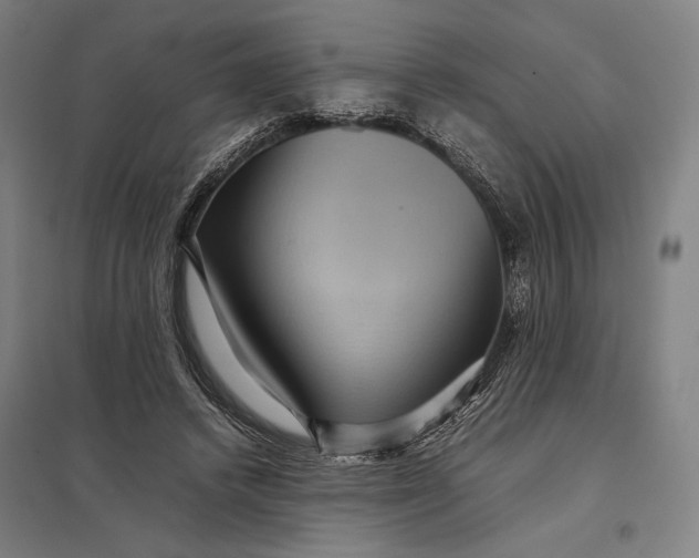 X0000097920448200803281430