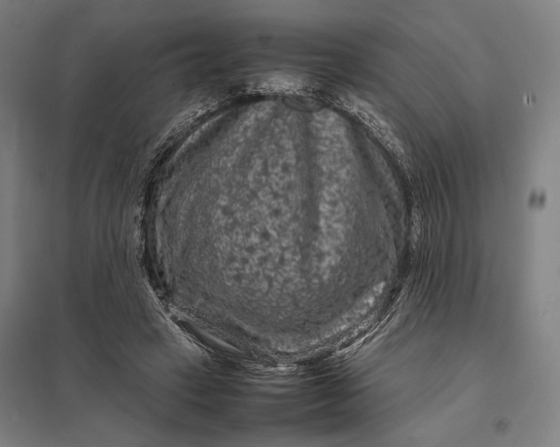 X0000097920449200803281430