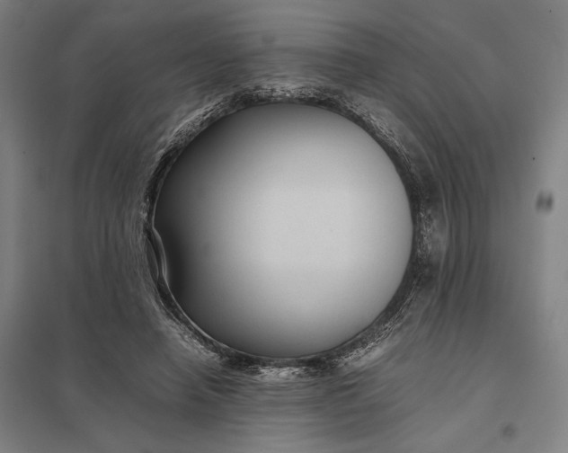 X0000097920450200803281430