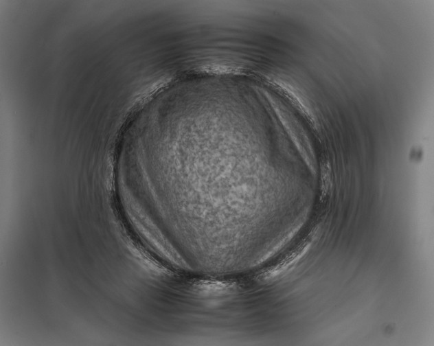 X0000097920453200803281430