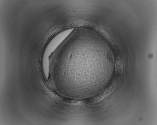 X0000097920454200803281430