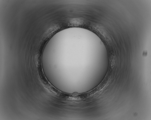 X0000097920455200803281430