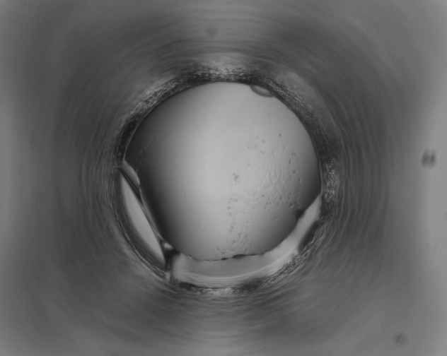 X0000097920456200803281430