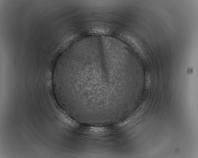 X0000097920457200803281430