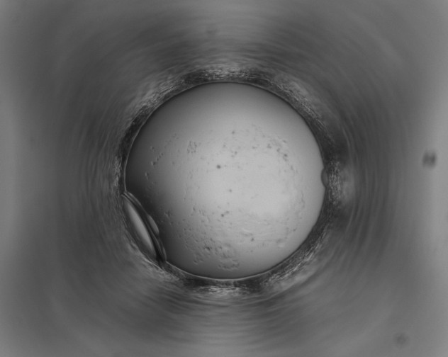 X0000097920458200803281430