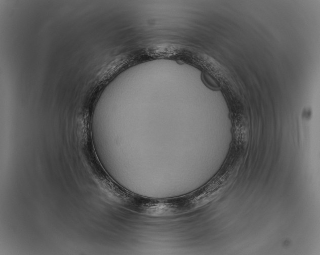 X0000097920460200803281430