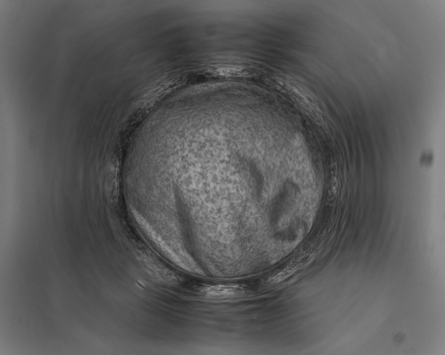 X0000097920461200803281430