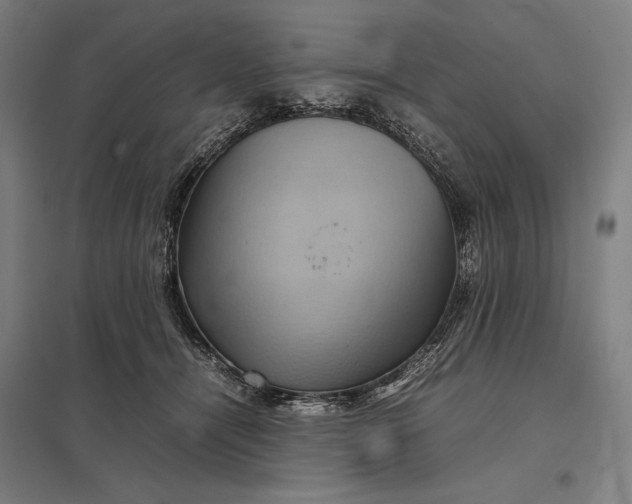 X0000097920464200803281430