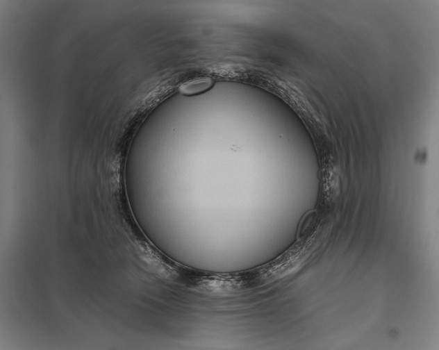 X0000097920466200803281430