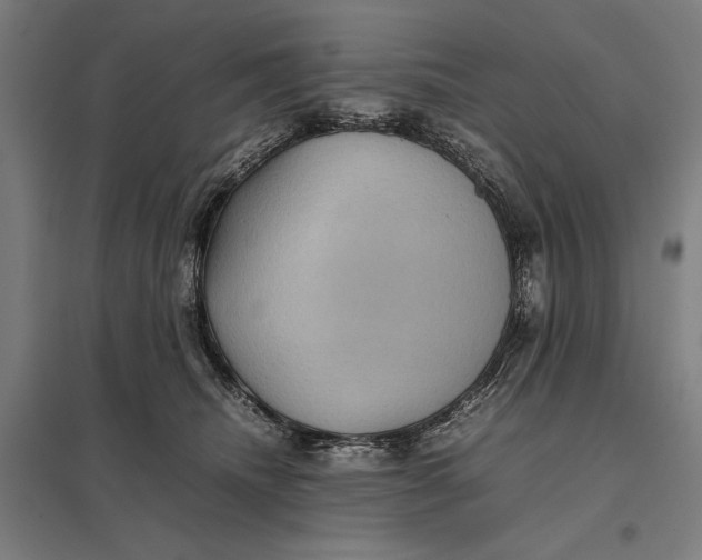 X0000097920468200803281430