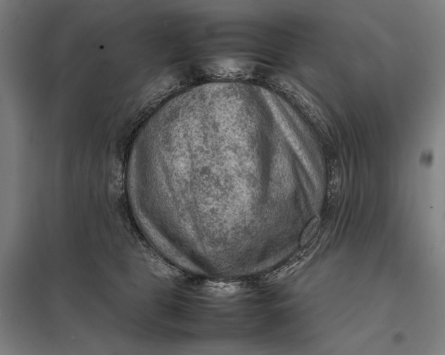 X0000097920469200803281430