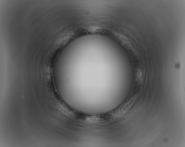 X0000097920470200803281430