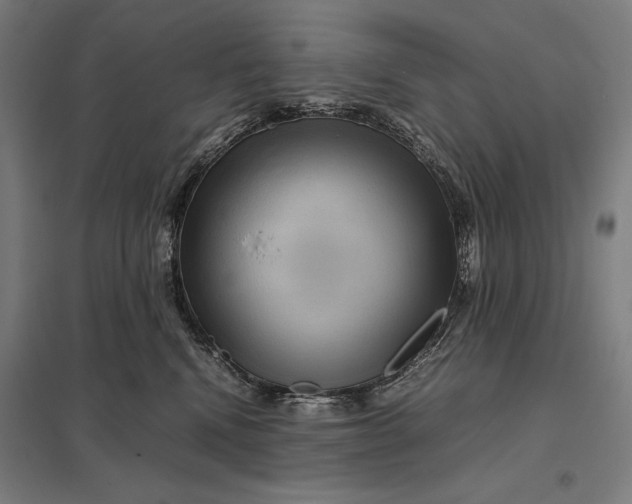 X0000097920472200803281430