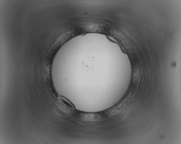 X0000097920473200803281430