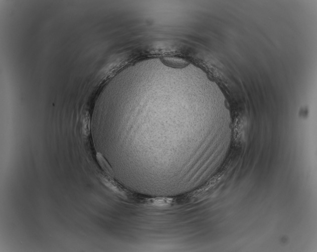 X0000097920474200803281430