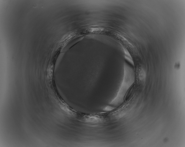 X0000097920475200803281430