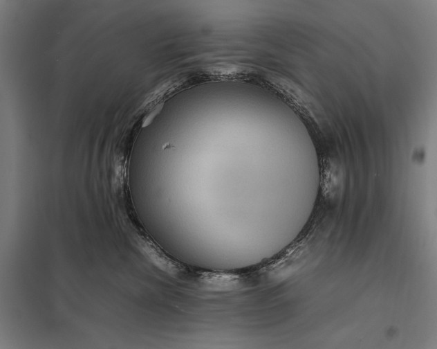 X0000097920476200803281430