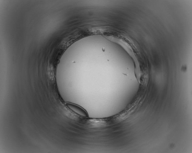 X0000097920477200803281430