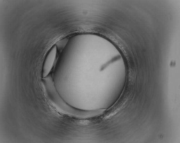 X0000097920481200803281429