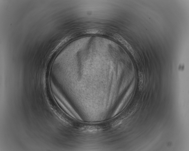 X0000097920482200803281429