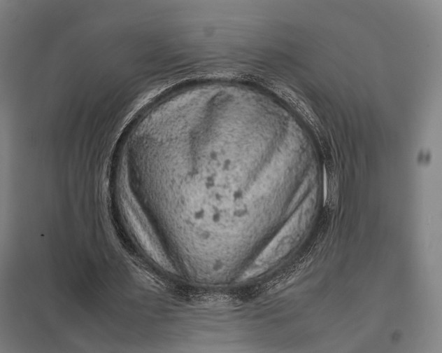 X0000097920483200803281429